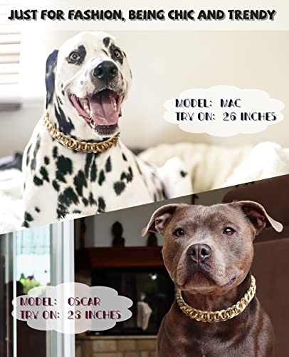 Pet & Garden COLOR Gold Chain Dog Collar