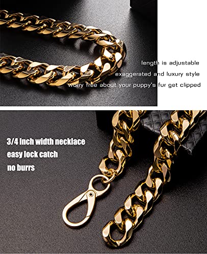 Pet & Garden COLOR Gold Chain Dog Collar