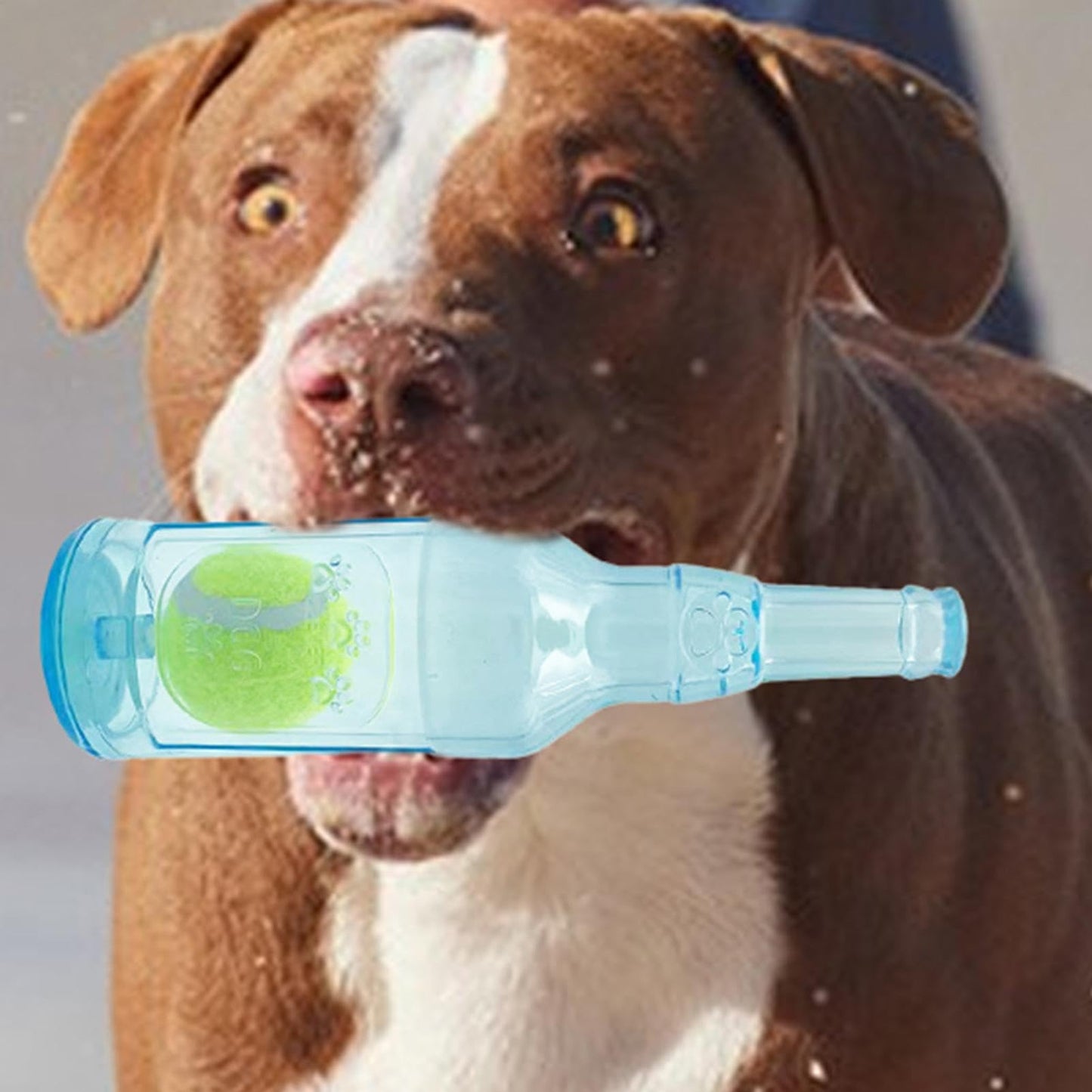 Pet & Garden Bottle Toys For Dogs - Puppy Squeaky Toy | Funny Bottle With Ball Gadget Pet Accessories | Outdoor Interactive Pets Bauble | Water Container Cruncher For Small To Large Dog